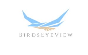 birdseyeview-logo