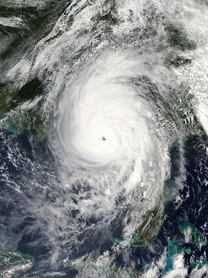 Michael will not meaningfully impact reinsurance pricing: J.P. Morgan