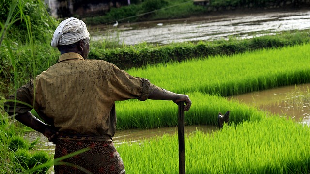 JBA partners with Chaucer on new India Crop catastrophe model