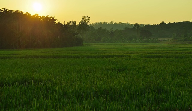 Indian government economic survey signals need for climate insurance
